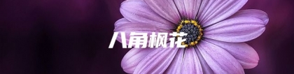 八角枫花